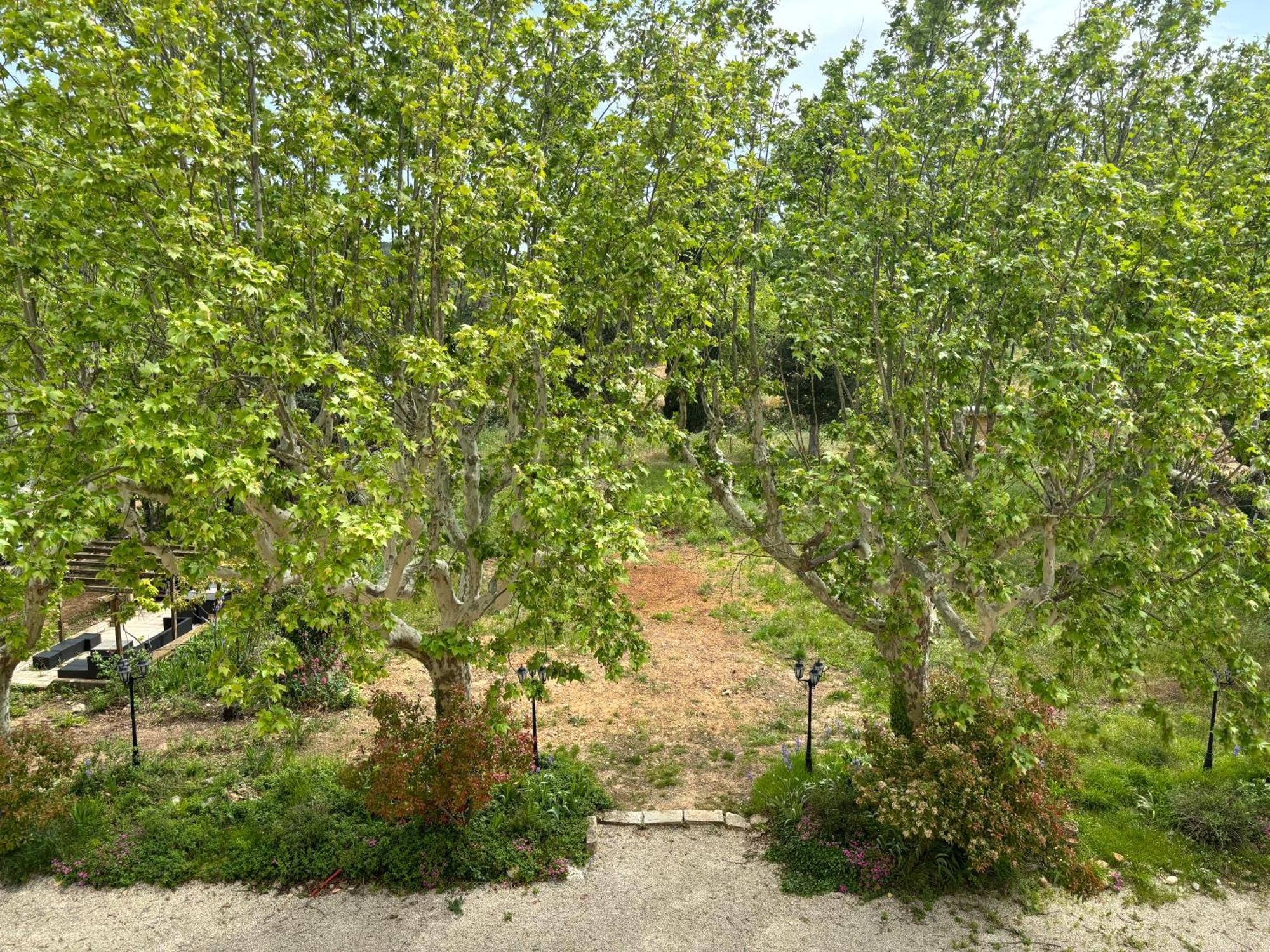 Appartement De Standing Dans Une Bastide Aixoise เอ็ก-ซอง-โพรวองซ์ ภายนอก รูปภาพ